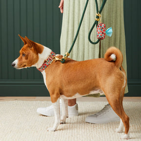 The Foggy Dog - Waste Bag Dispenser - Apple of	My Eye