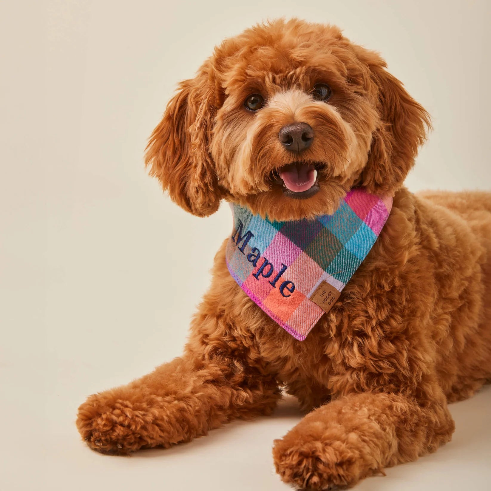 The Foggy Dog - Bandana Dog Color Pop Flannel Fall
