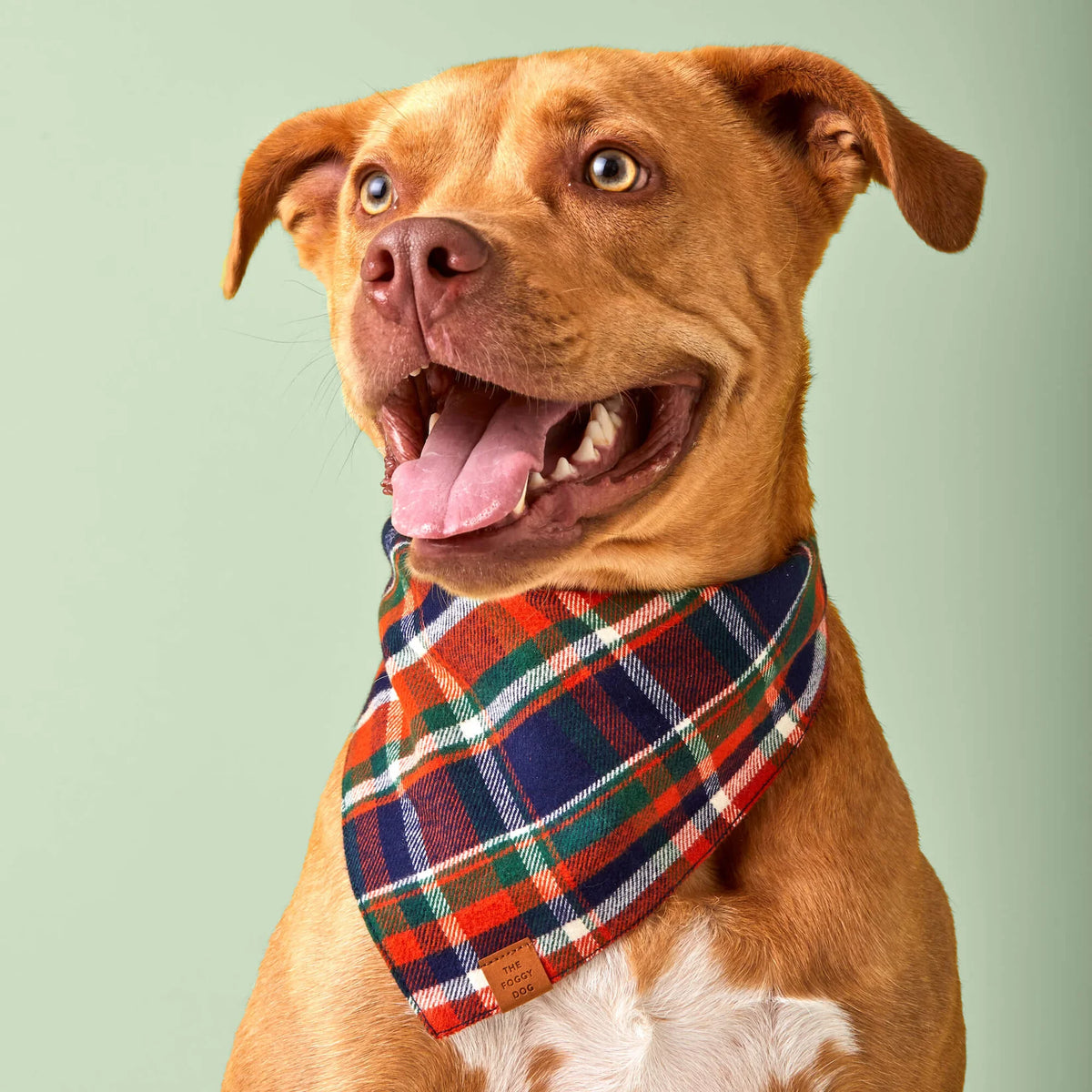 The Foggy Dog - Bandana Dog Dakota Plaid Flannel