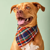 The Foggy Dog - Bandana Dog Dakota Plaid Flannel