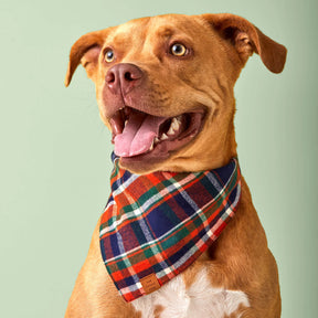 The Foggy Dog - Bandana Dog Dakota Plaid Flannel