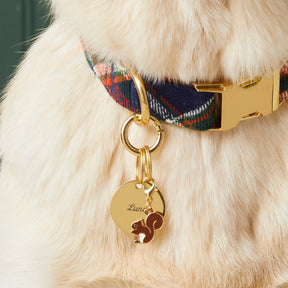 The Foggy Dog - Dog Charm Two Sided for Collar Brown Squirrel