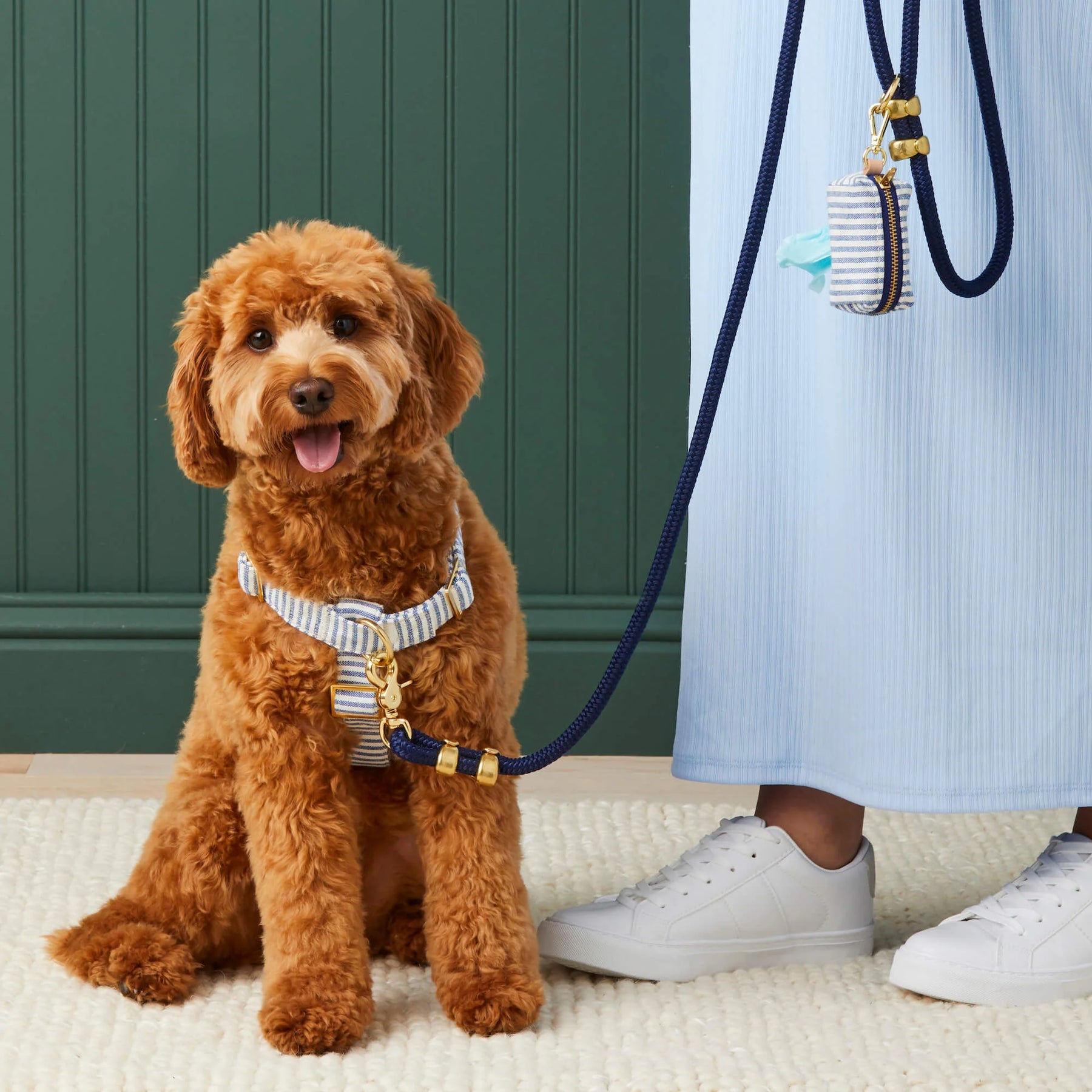 The Foggy Dog - Waste Bag Dispenser Lake Blue Stripe