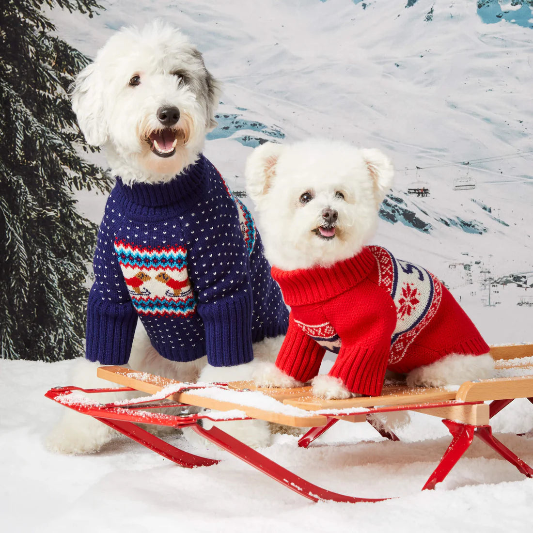 The Foggy Dog - Dog Sweater Gray Malin x TFD Apres Ski