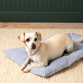 Foggy Dog - Dog Travel Mat
