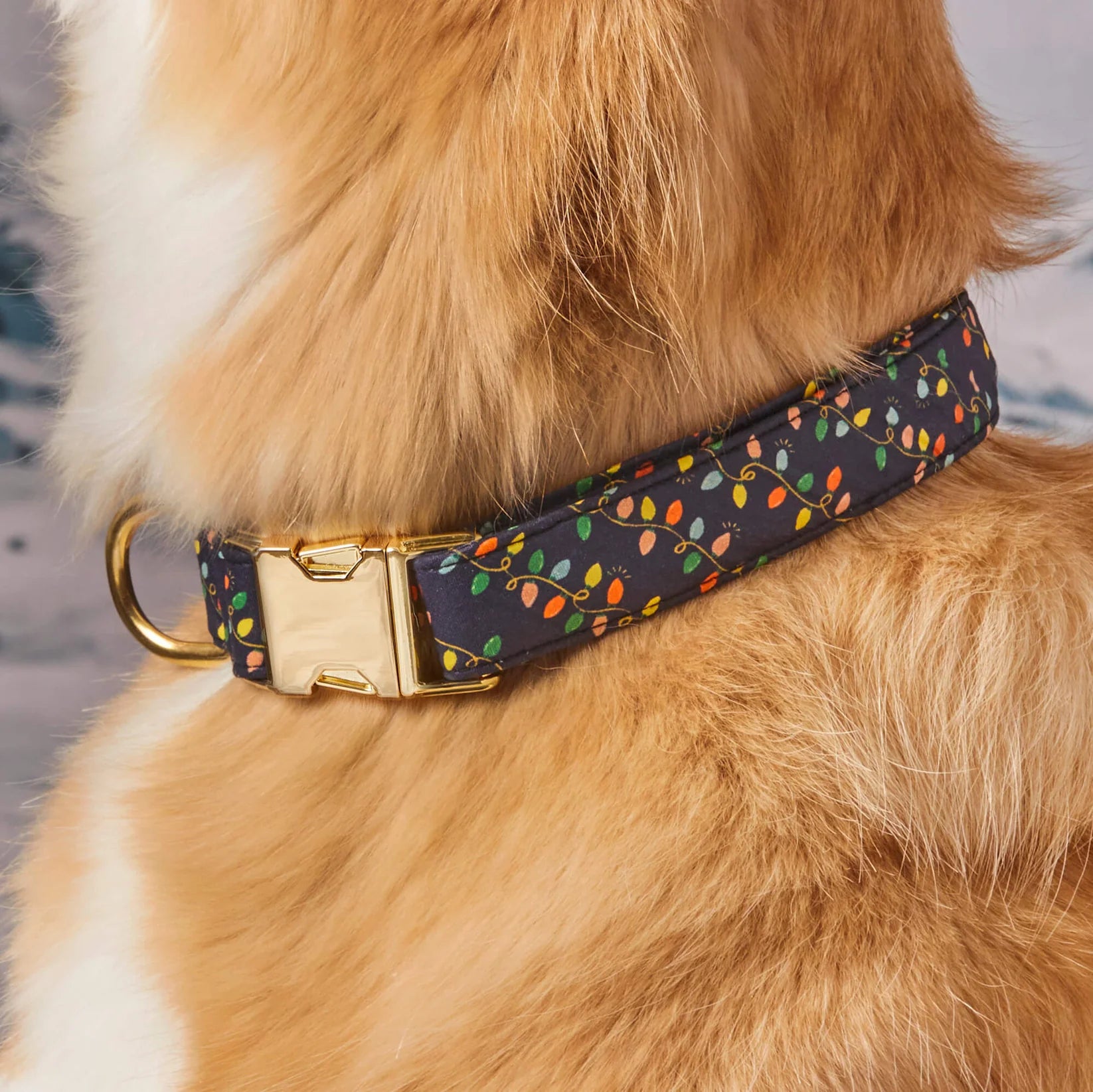 The Foggy Dog - Dog Collar Holiday Lights