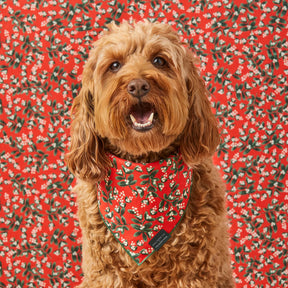 The Foggy Dog - Dog Bandana Rifle Co x TFD Mistletoe