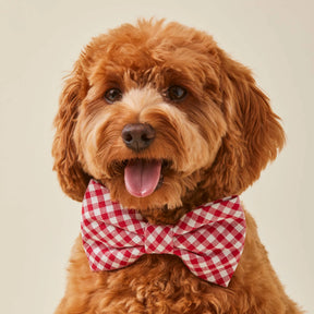 The Foggy Dog - Dog Bow Tie Red Gingham