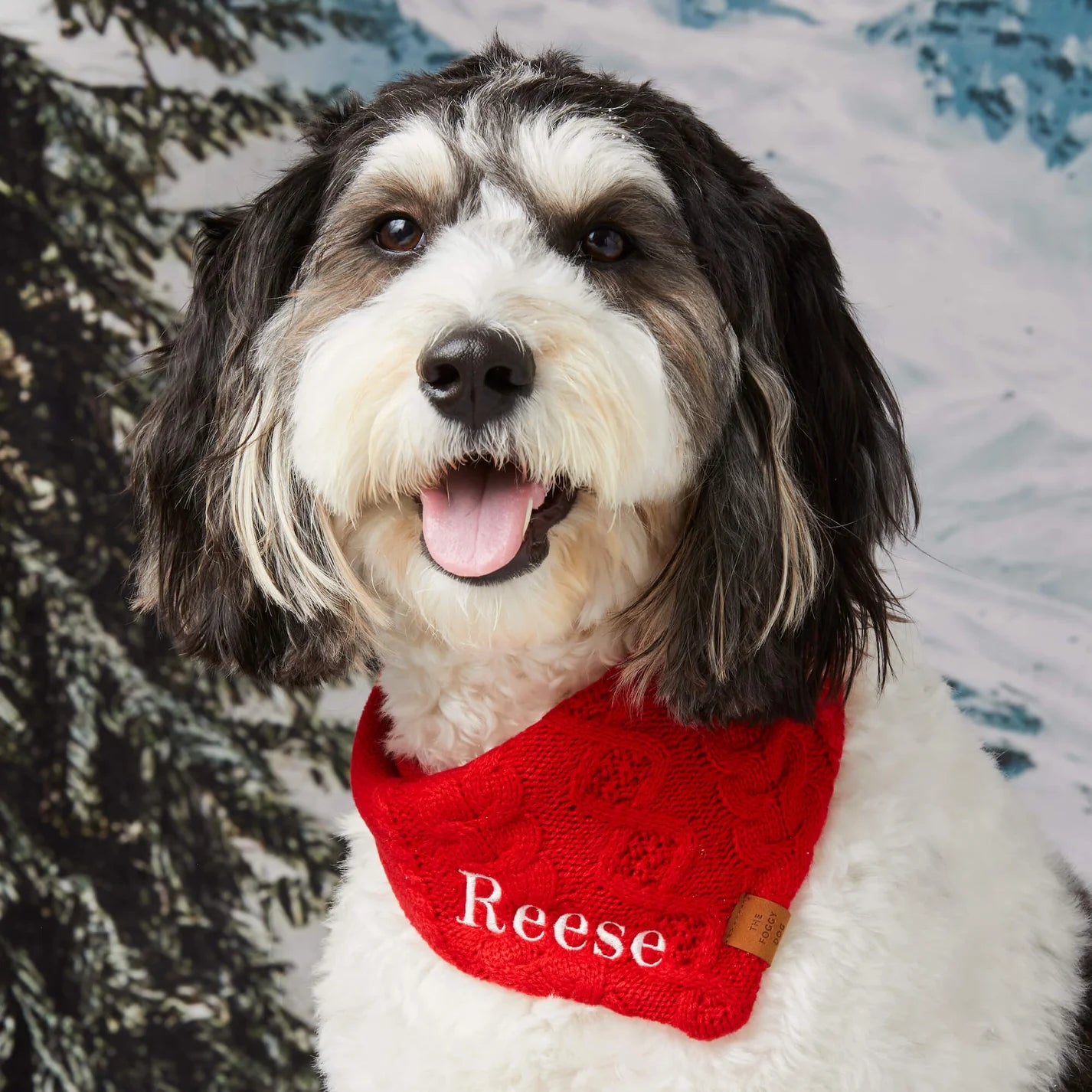 The Foggy Dog - Dog Bandana Cable Knit