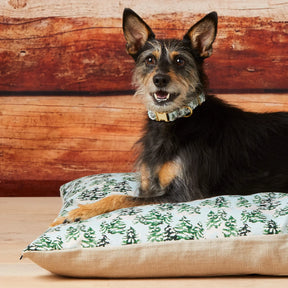 The Foggy Dog - Dog Collar Gray Malin with Trees