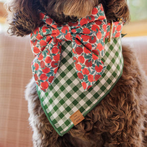 The Foggy Dog - Bandana Dog Heather Taylor Home x TFD Mini Gingham Hunter Green