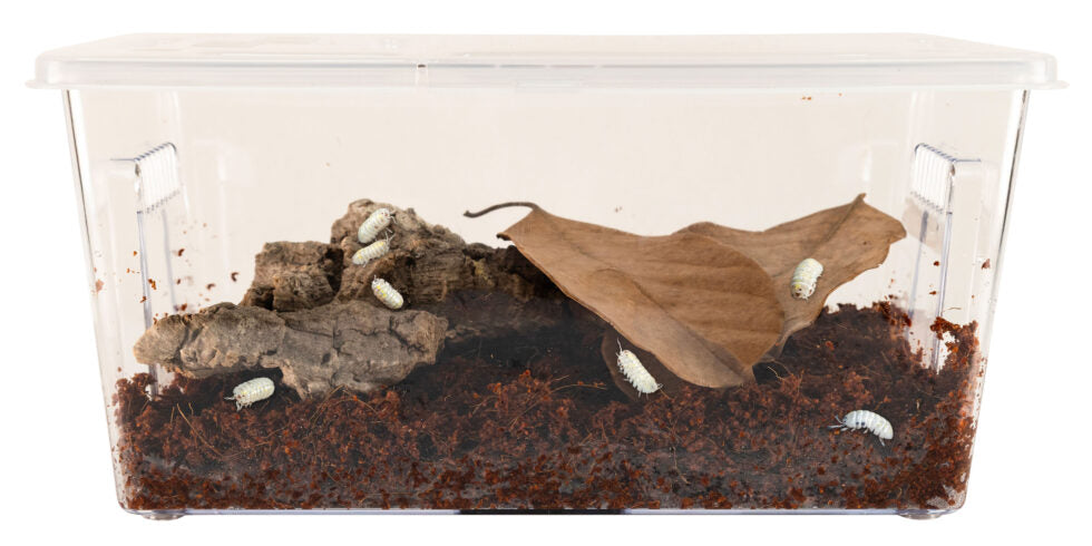 Zoo Med - Isopod Habitat Roly-Poly Kit