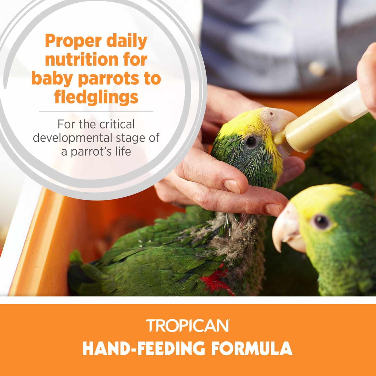 Tropican Hand-Feeding Formula - Mash Parrot Food