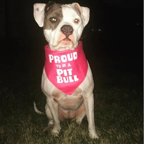 FunDog Bandanas - Dog Bandana Proud to be a Pitbull - Southern Agriculture 