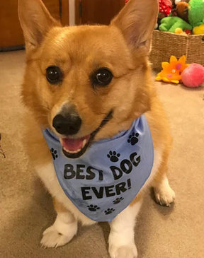 FunDog Bandanas - Dog Bandana Best Dog Ever