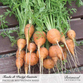 Botanical Interests, Inc. - Carrot Tonda di Parigi Seeds - Southern Agriculture 