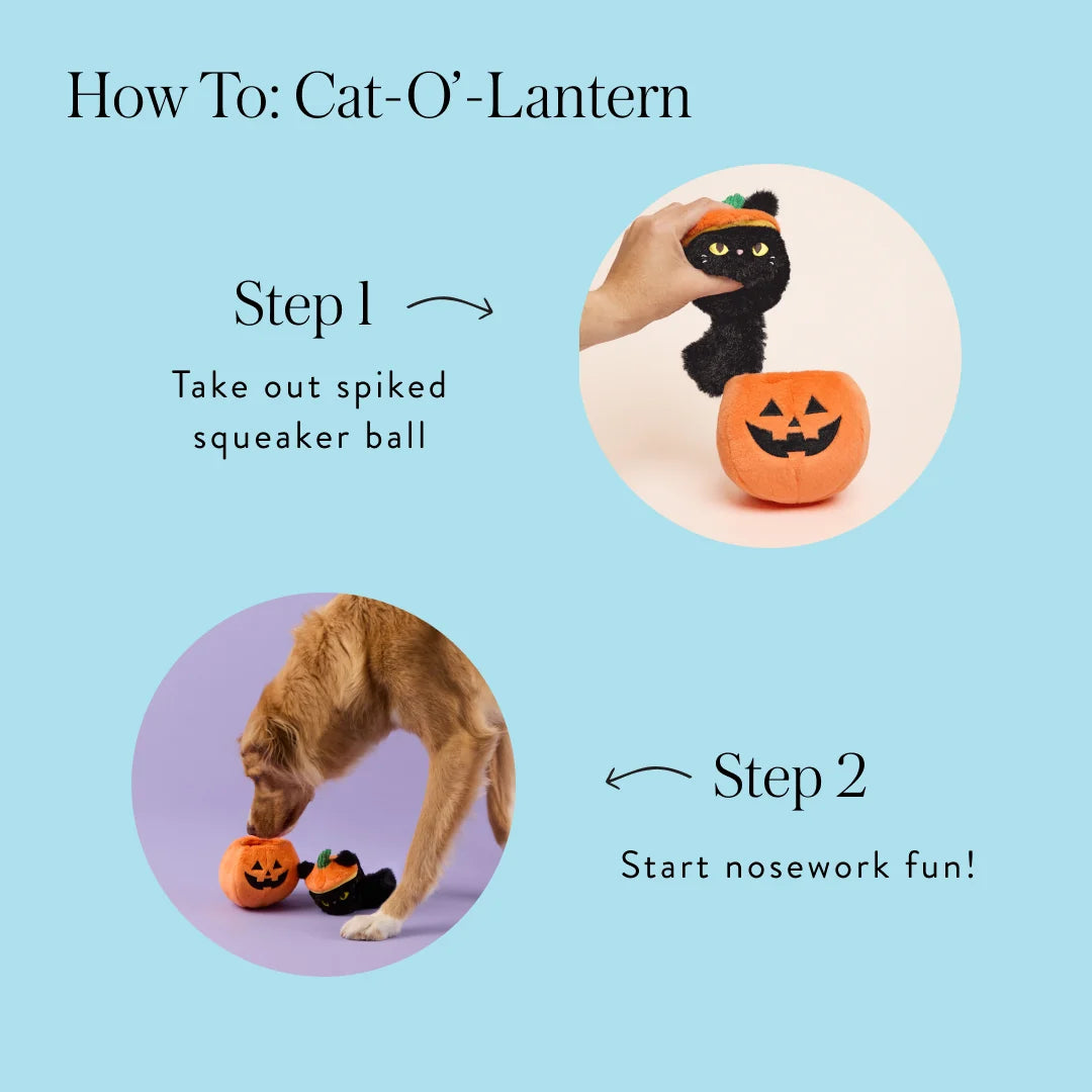 The Foggy Dog - Dog Toy Cat-O'-Lantern 2-In-1