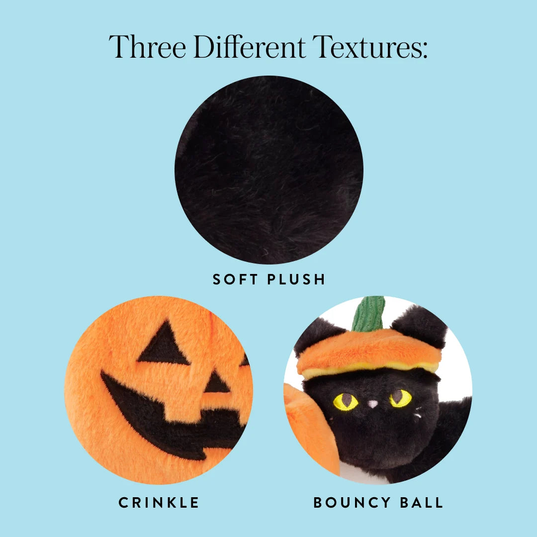 The Foggy Dog - Dog Toy Cat-O'-Lantern 2-In-1
