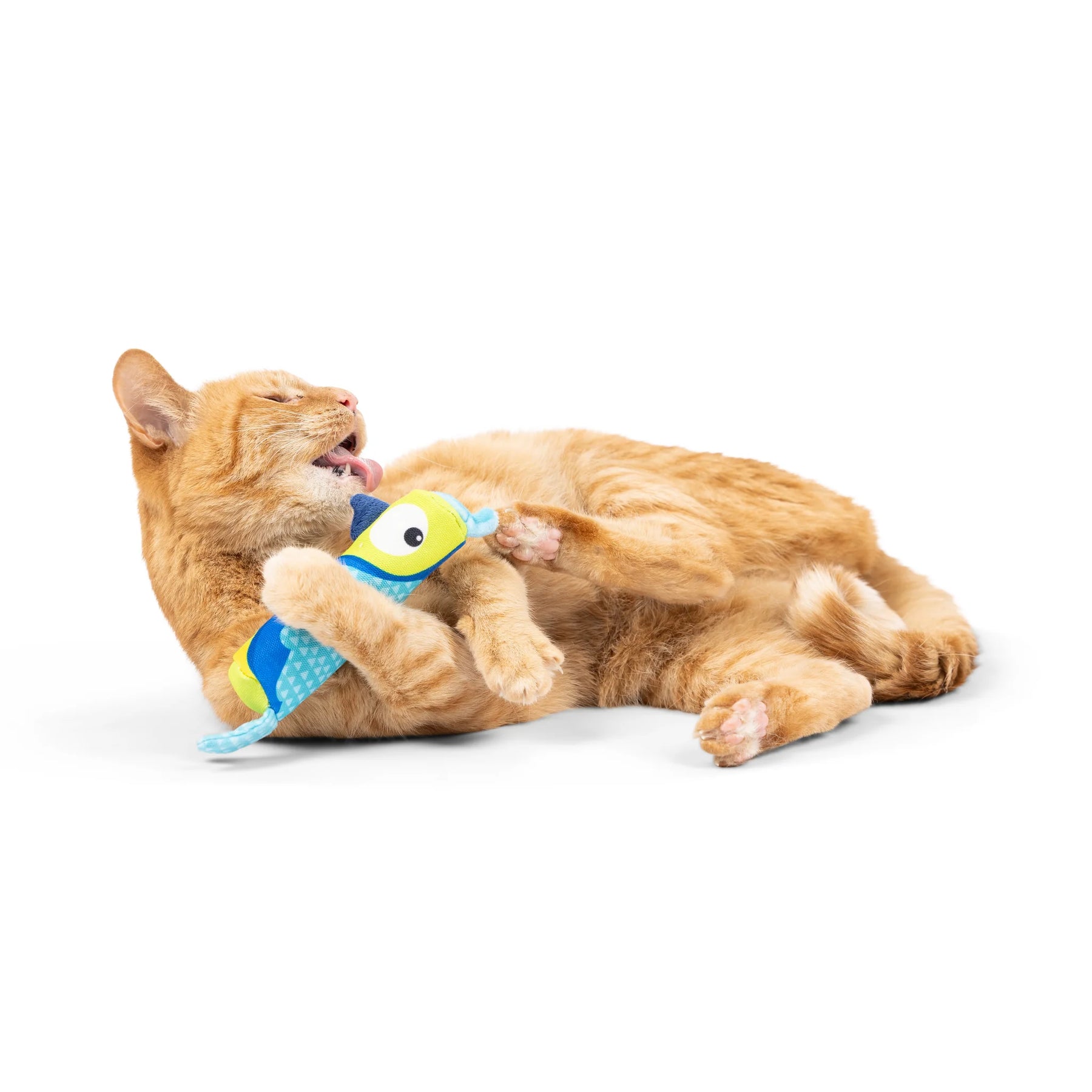 Huxley & Kent - Cat Toy Parakeet Nipper