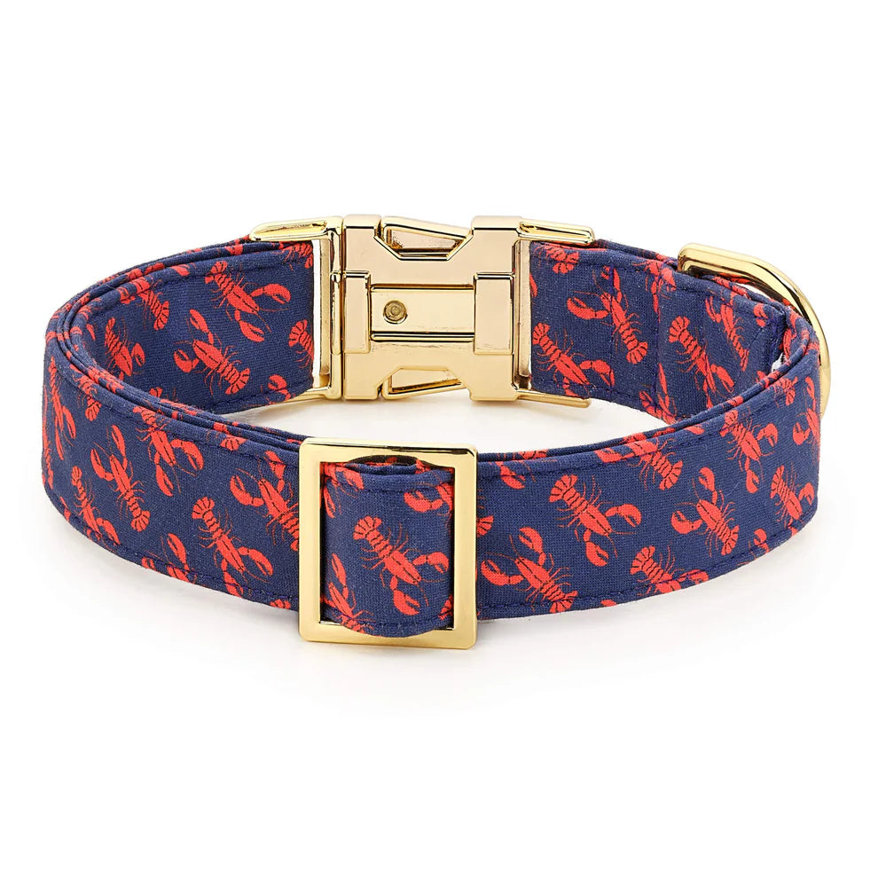 The Foggy Dog - Dog Collar Catch of the Day