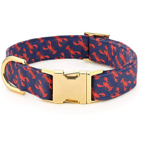The Foggy Dog - Dog Collar Catch of the Day