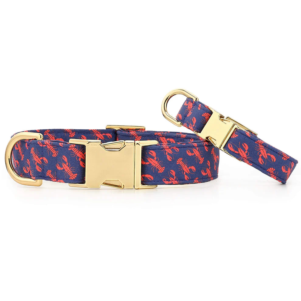 The Foggy Dog - Dog Collar Catch of the Day