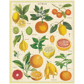 Cavallini Papers & Co - Puzzle Citrus
