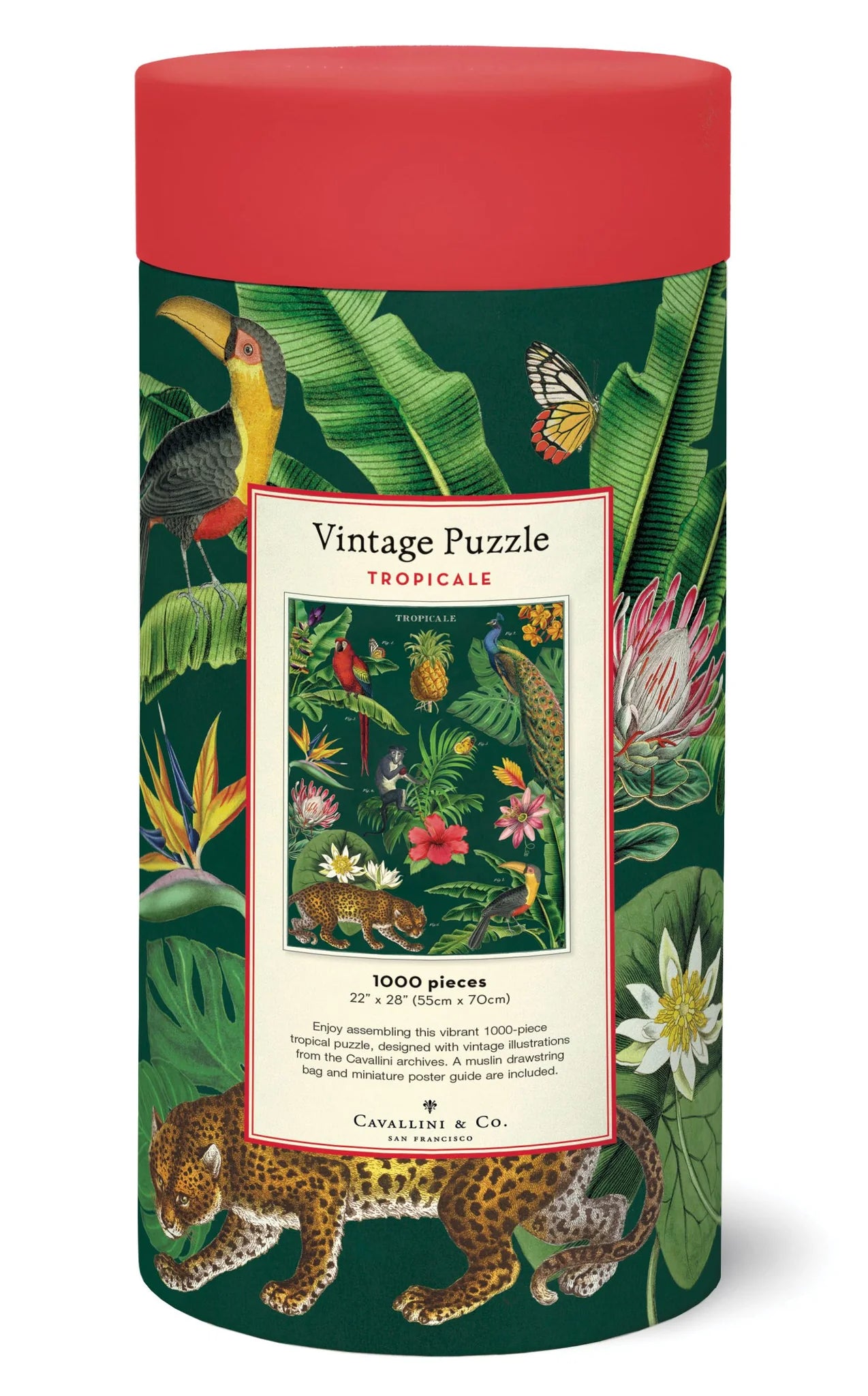 Cavallini & Co. - Puzzle Tropicale - Southern Agriculture 