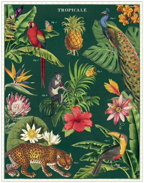 Cavallini & Co. - Puzzle Tropicale - Southern Agriculture 