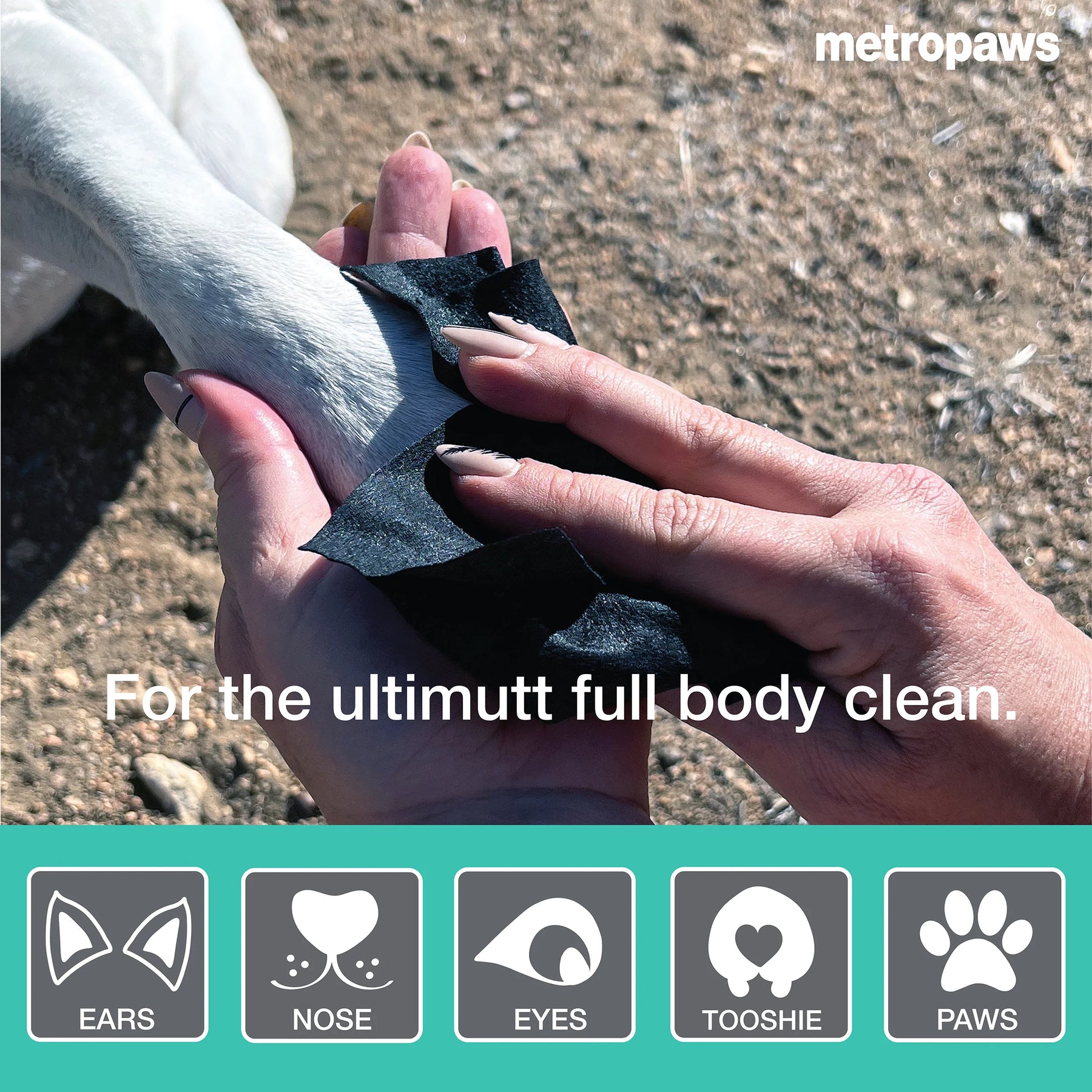 Metropaws - Metrowipes Charcoal & Peppermint