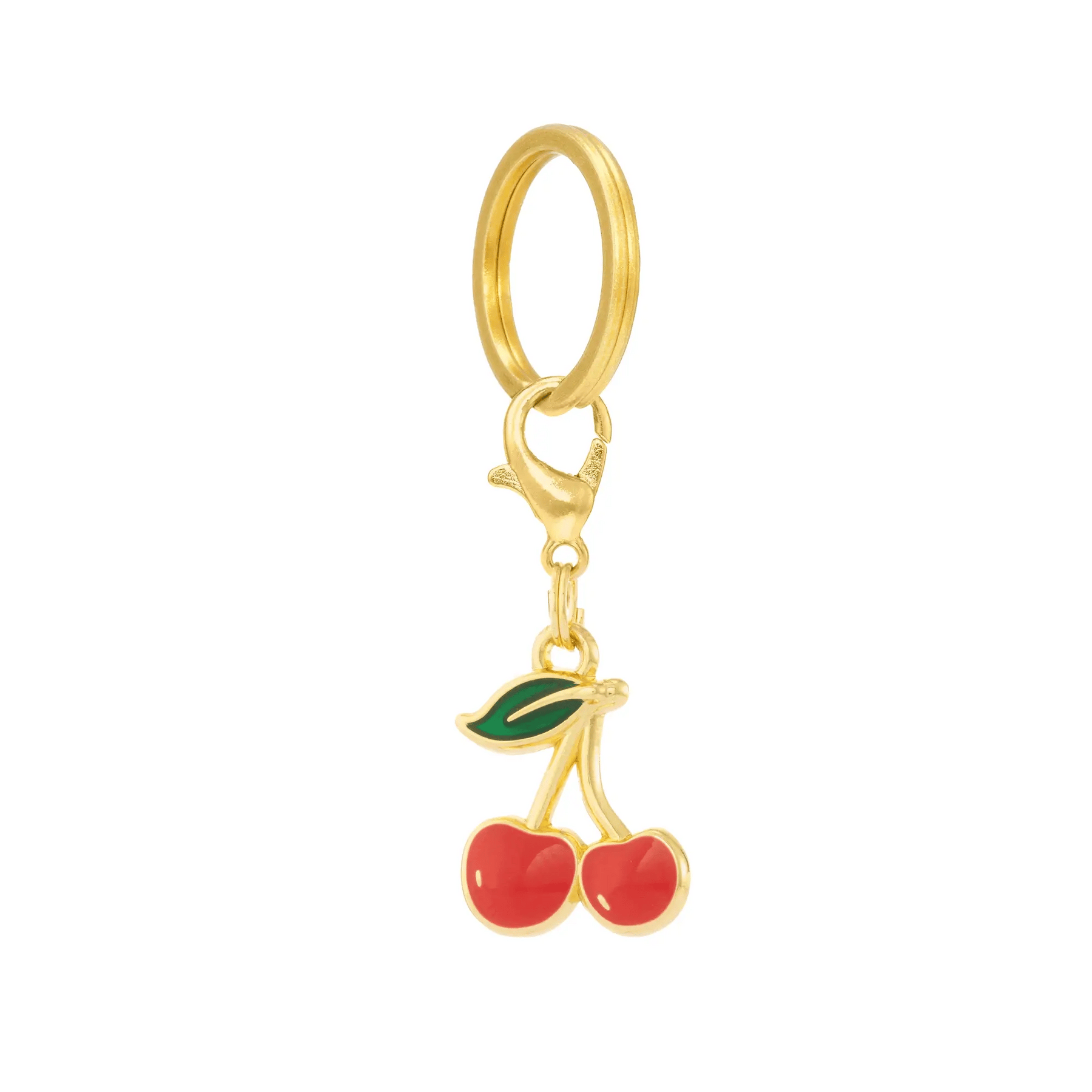 The Foggy Dog - Dog Charm Two Sided For Collar Cherries