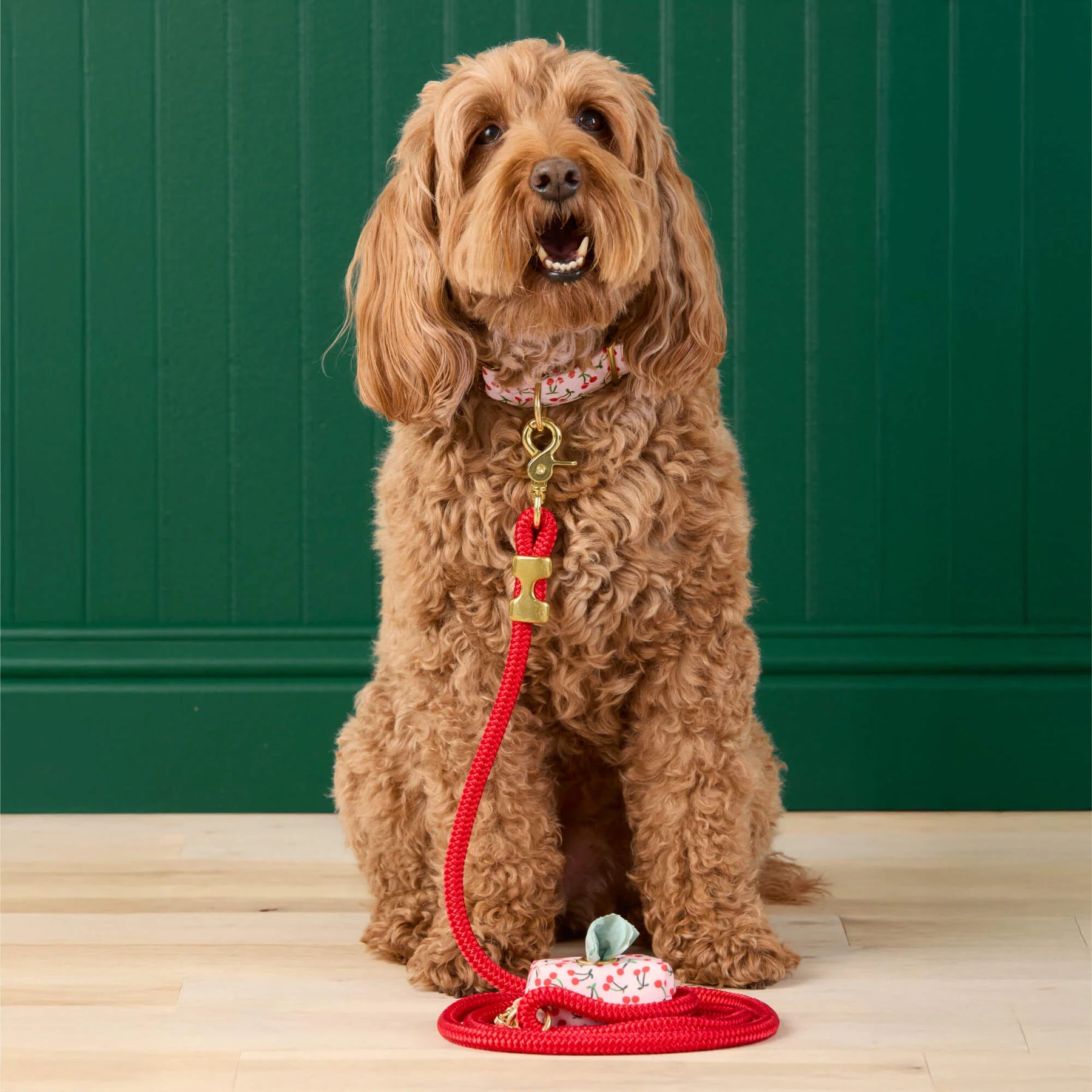 Foggy Dog - Waste Bag Dispenser Cherry Jubilee