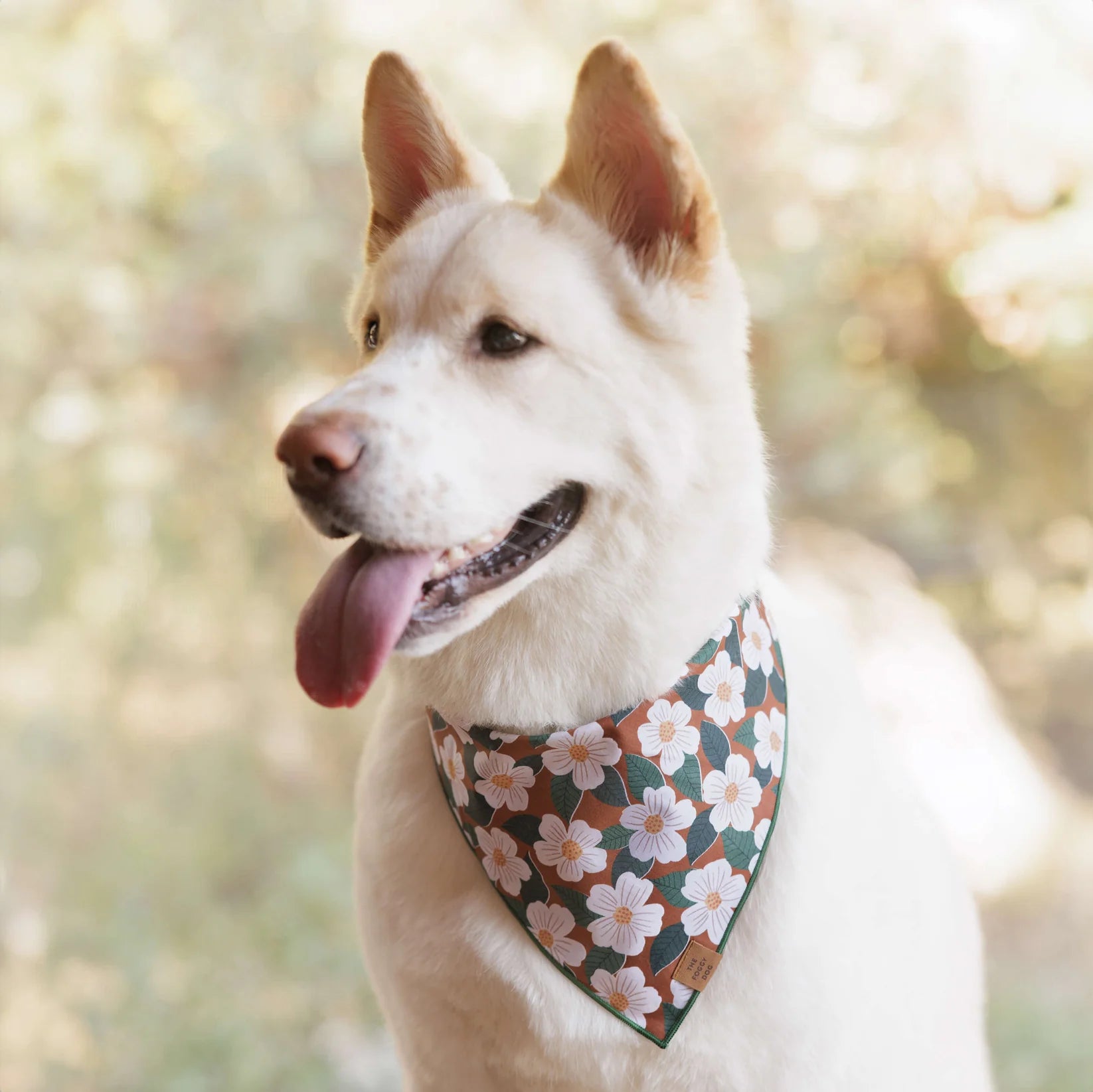 The Foggy Dog - Bandana Dog Chestnut Rose