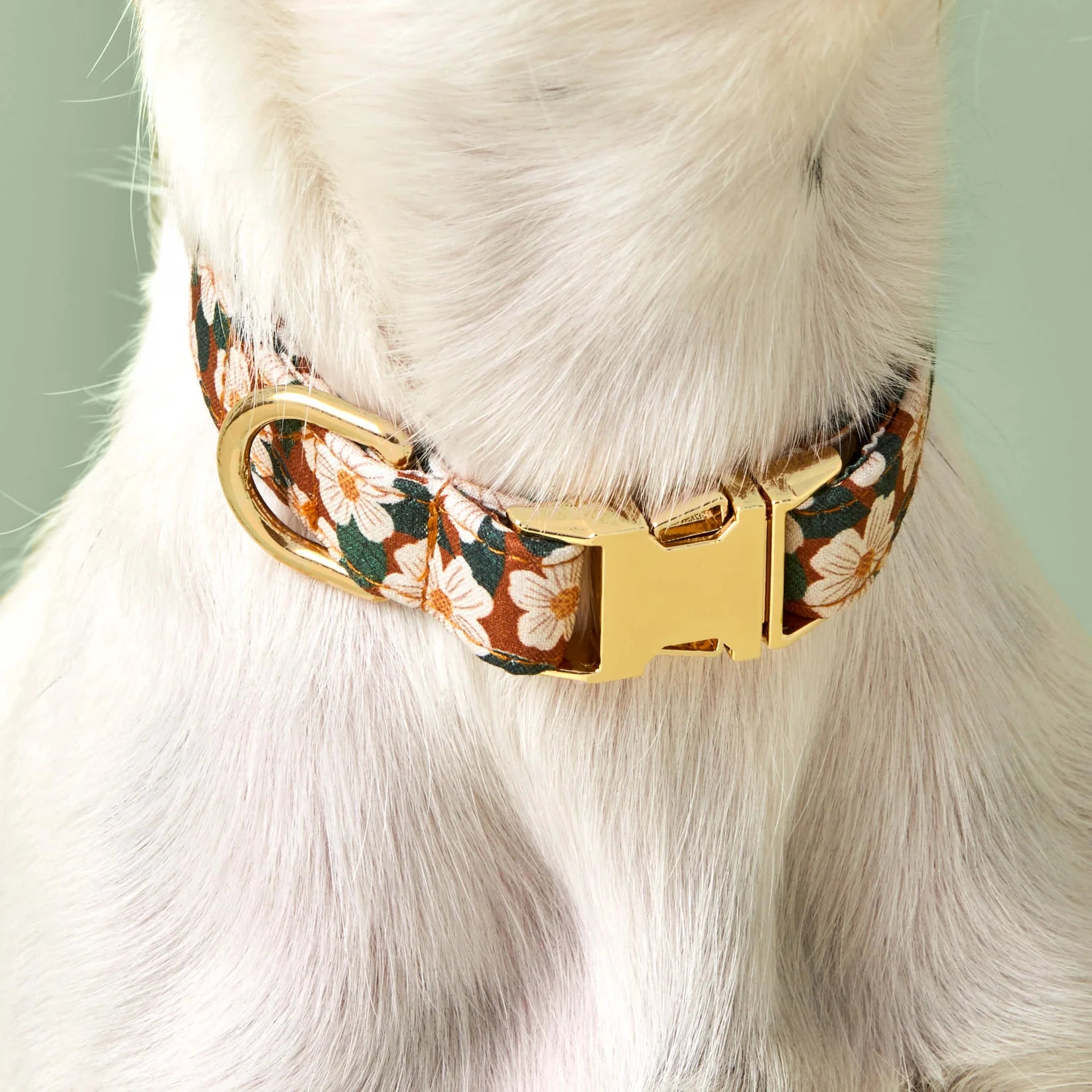 The Foggy Dog - Dog Collar Chestnut Rose