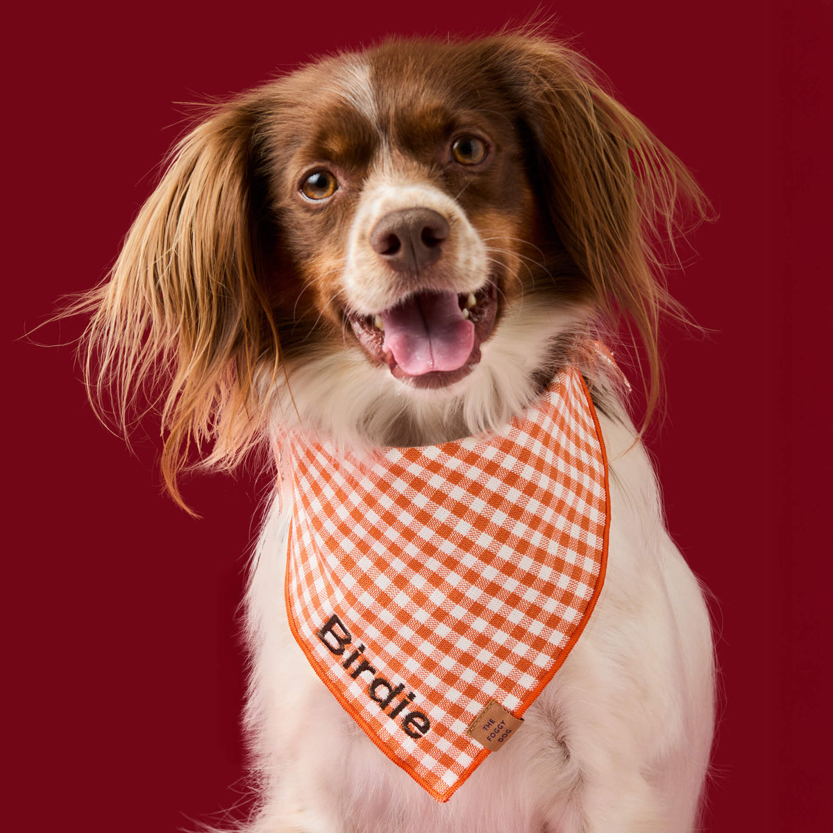 The Foggy Dog - Bandana Cider Gingham