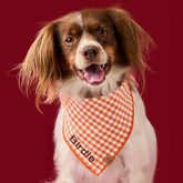 The Foggy Dog - Bandana Cider Gingham