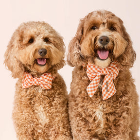 The Foggy Dog - Dog Bow Tie Cider Gingham