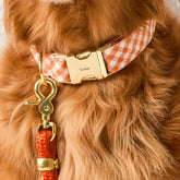 The Foggy Dog - Dog Collar Cider Gingham
