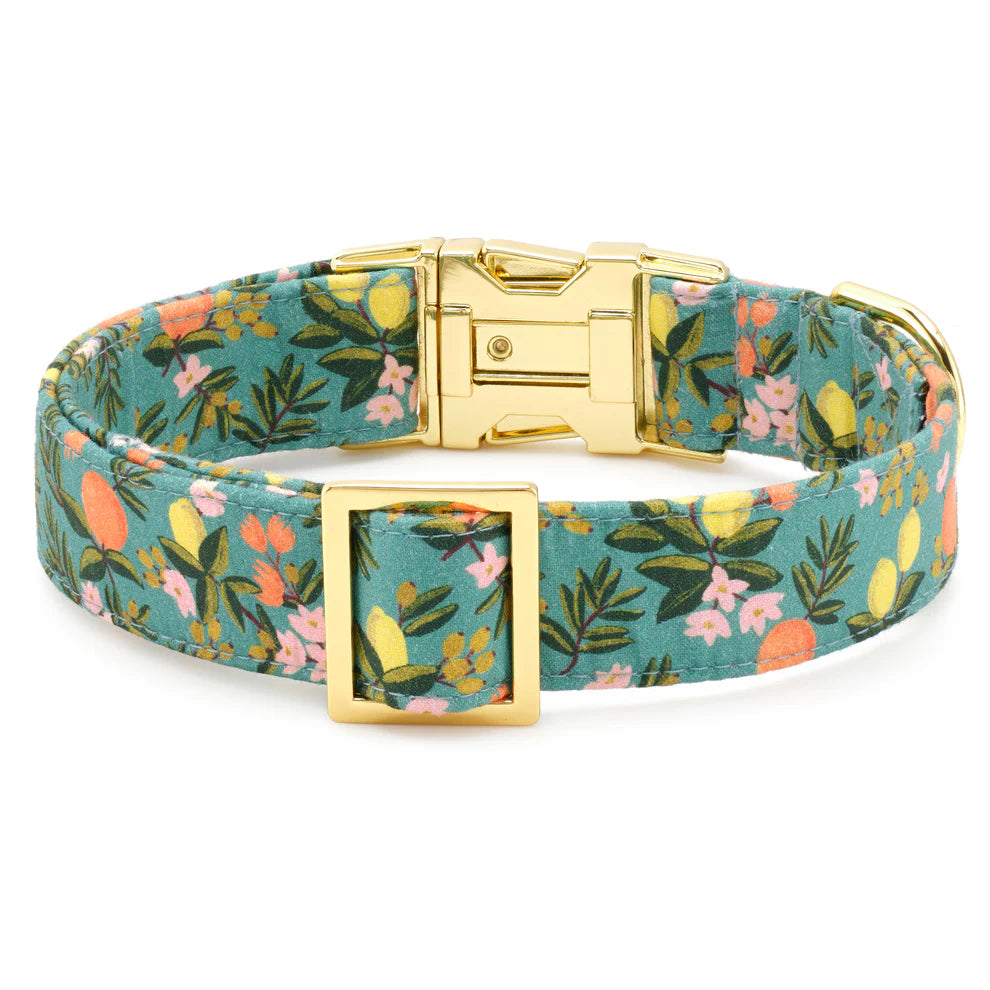 The Foggy Dog - Dog Collar Citrus Floral Rifle Paper CO. X TFD
