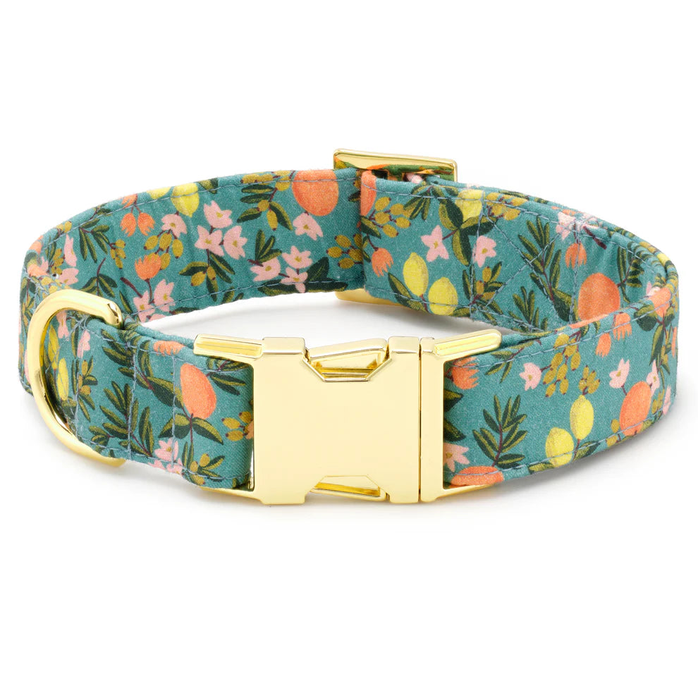 The Foggy Dog - Dog Collar Citrus Floral Rifle Paper CO. X TFD