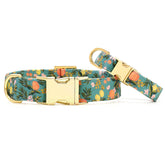The Foggy Dog - Dog Collar Citrus Floral Rifle Paper CO. X TFD