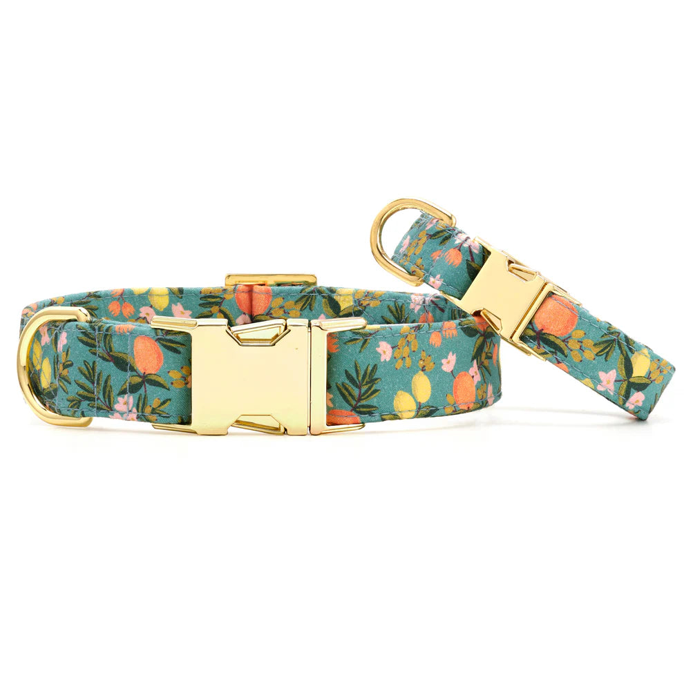 The Foggy Dog - Dog Collar Citrus Floral Rifle Paper CO. X TFD