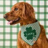 Foggy Dog - Dog Bandana Clover Applique