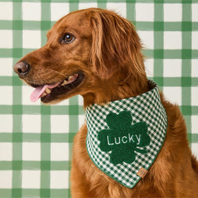 Foggy Dog - Dog Bandana Clover Applique
