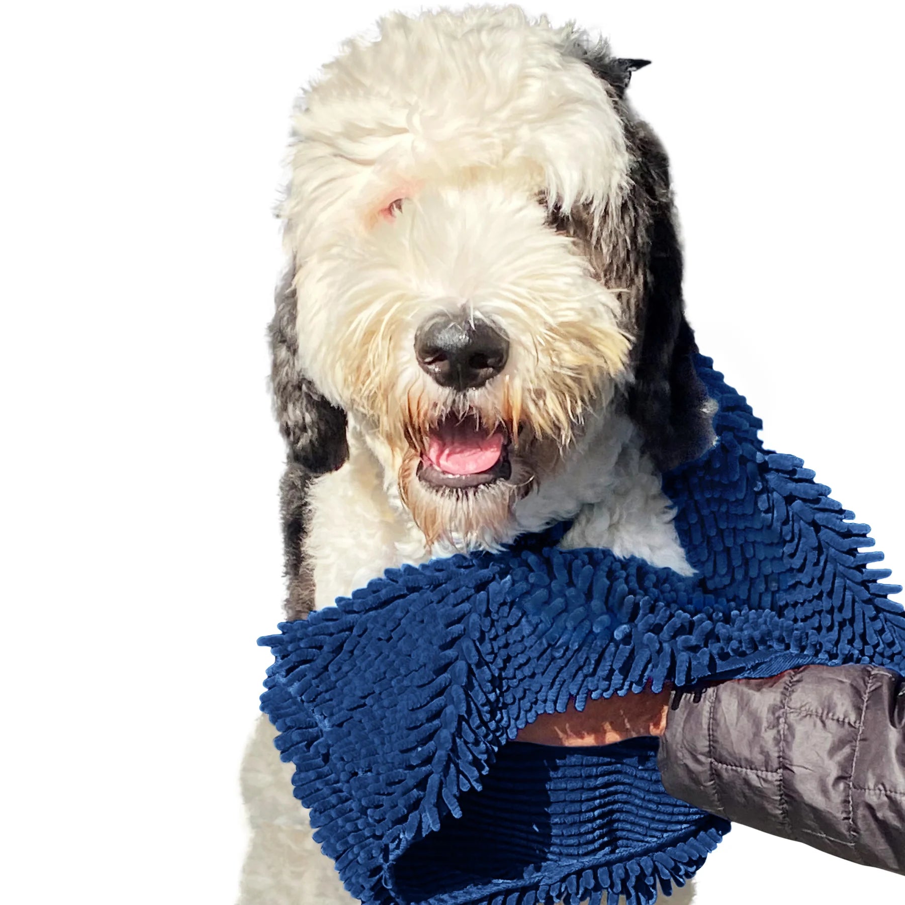 Soggy Doggy Doormat - Shammy Super