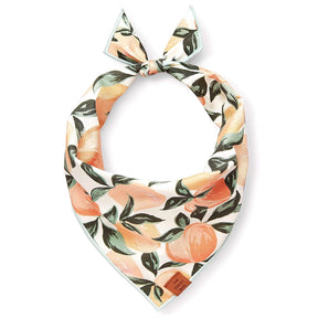 The Foggy Dog - Bandana Dog Peaches & Cream