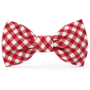 The Foggy Dog - Dog Bow Tie Red Gingham
