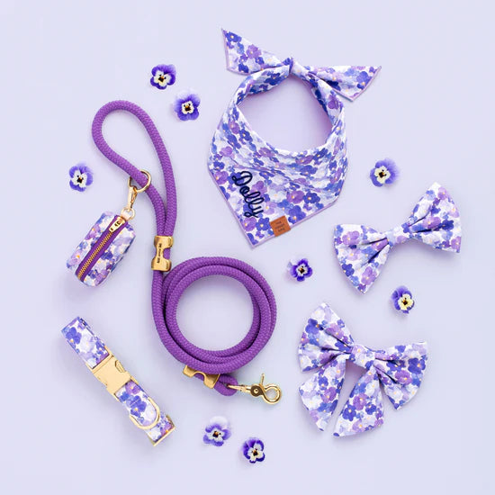 The Foggy Dog - Dog Collar Pressed Pansies