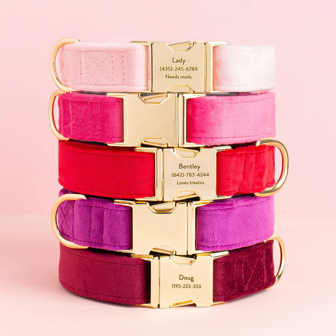 The Foggy Dog - Dog Collar Hot Pink Velvet