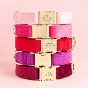 The Foggy Dog - Dog Collar Hot Pink Velvet